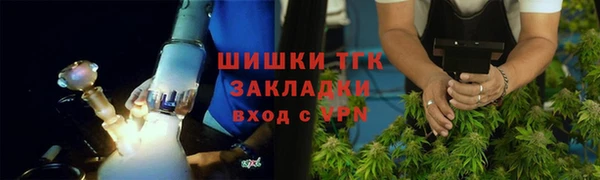 прущие грибы Аркадак
