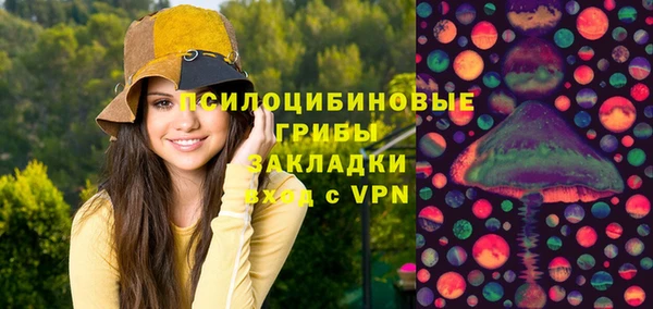 прущие грибы Аркадак