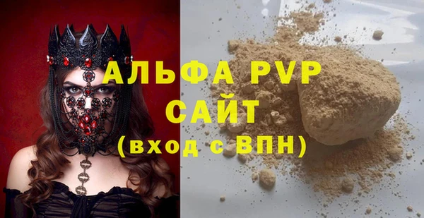 прущие грибы Аркадак