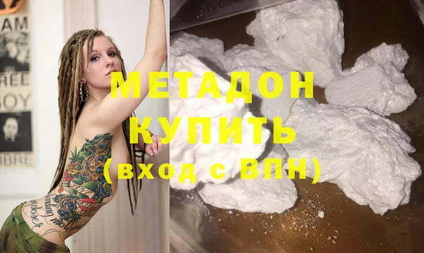 прущие грибы Аркадак