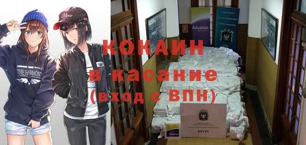 прущие грибы Аркадак