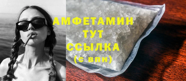 прущие грибы Аркадак