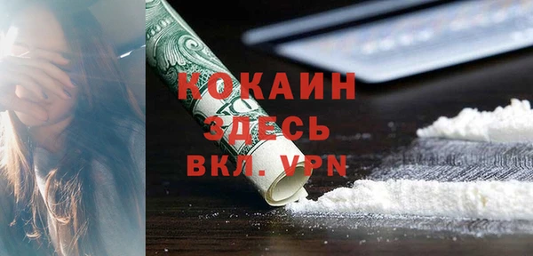 прущие грибы Аркадак