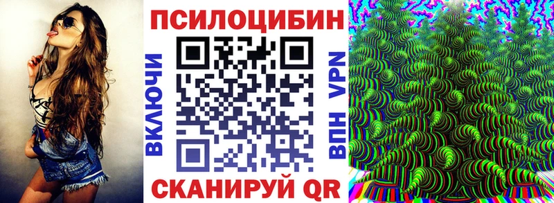 Псилоцибиновые грибы Cubensis  сколько стоит  мега вход  Мыски 